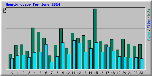 Hourly usage for June 2024